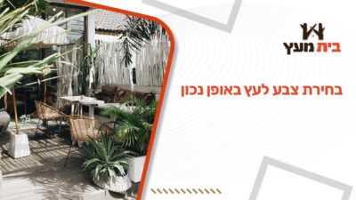בחירת צבע לעץ באופן נכון